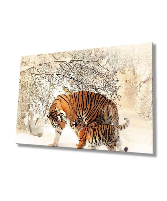 Wallity Pintura Decorativa de Vidrio Templado Multicolor 70 x 110 cm